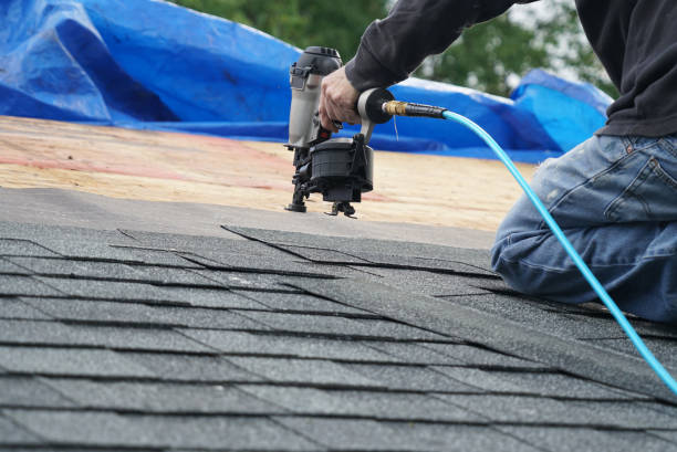 Best Roof Maintenance Services  in Portales, NM